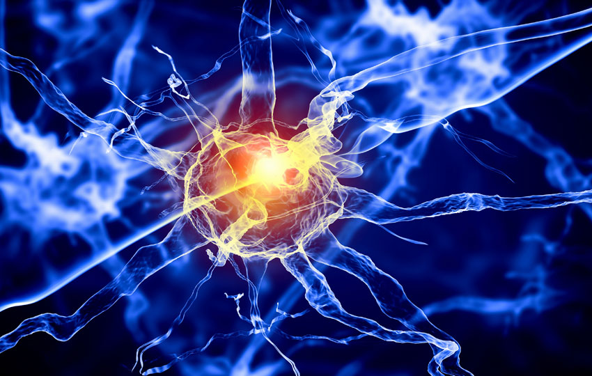 Halucinaţiile olfactive şi marile necunoscute care ne ghidează simţurile