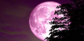 Super Luna roz, fenomen astral spectaculos