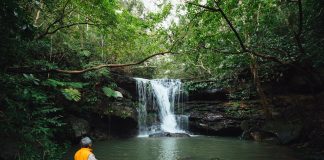 Ikigai şi “Țara nemuritorilor”