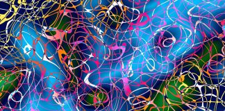 Sindromul lui Diogene şi Sindromul lui Noe