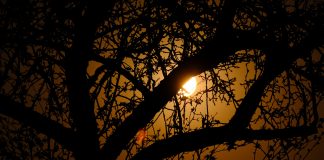 Fenomene astronomice rare în luna mai 2021