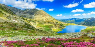 Fapte inedite despre România