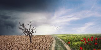 Manipulare climatică?