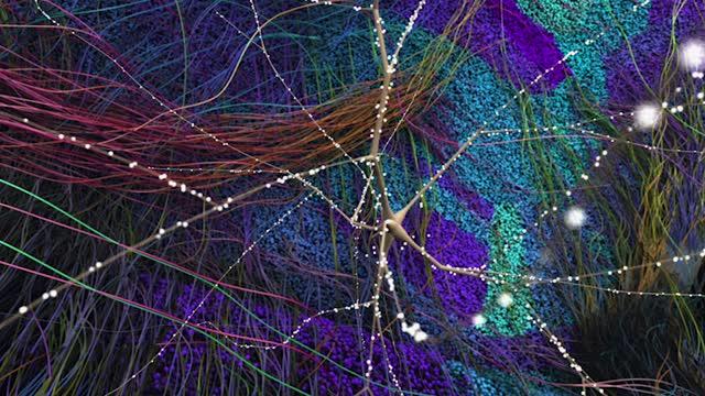 Neuroni virtuali si sinapse