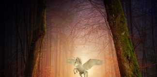 Animale care aduc noroc, plante de bun augur, totemuri şi miturile care le-au consacrat Animale care aduc noroc, plante de bun augur, totemuri şi miturile care le-au consacrat