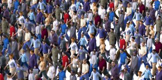Mentalitatea de turmă – suntem din ce în ce mai depersonalizaţi?