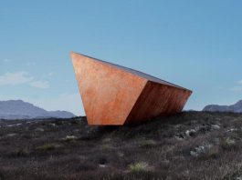 Cutia neagră a Pământului