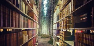 Biblioteca viitorului