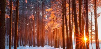 Solstiţiul de iarnă 2021