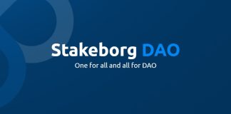 Stakeborg DAO – primul proiect din România care își propune să ducă meritocrația la rang de valoare esențială