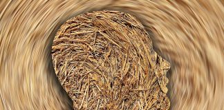 Legile fundamentale ale imbecilităţii umane