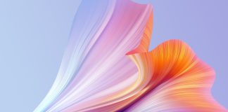 Idiomul, idiolectul, sociolectul