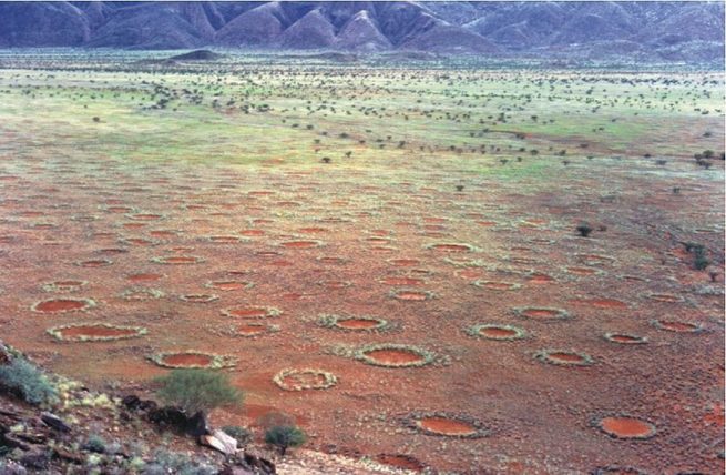 Cercurile de Zâne, din Namibia