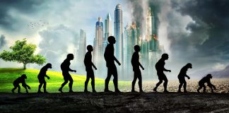 Premiile Darwin pentru prostie “extremă” Premiile Darwin pentru prostie