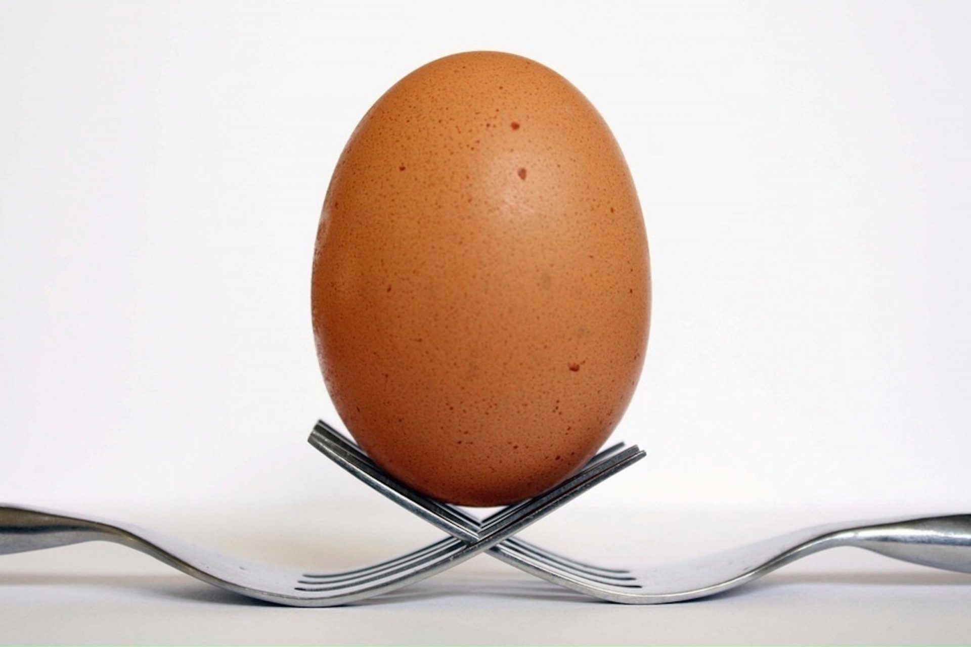 Ecuaţia universală care explică forma oului