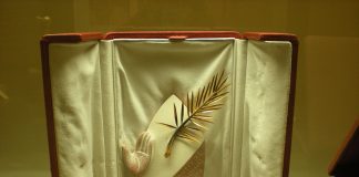 Palme d'Or