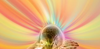 Stimularea memoriei – 12 metode imbatabile pentru a avea o memorie de invidiat