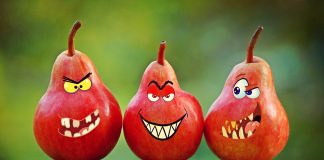 Dorel, Bulă, Acarul Păun şi “Miticii”– personaje emblematice ale folclorului urban, la români Dorel, Bulă, Acarul Păun şi “Miticii”– personaje emblematice ale folclorului urban