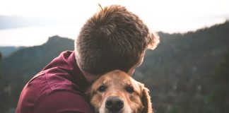 Te iubește câinele tău? 7 dovezi de iubire ale câinilor (P)