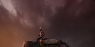 Elefantul şi călăreţul din mintea noastră