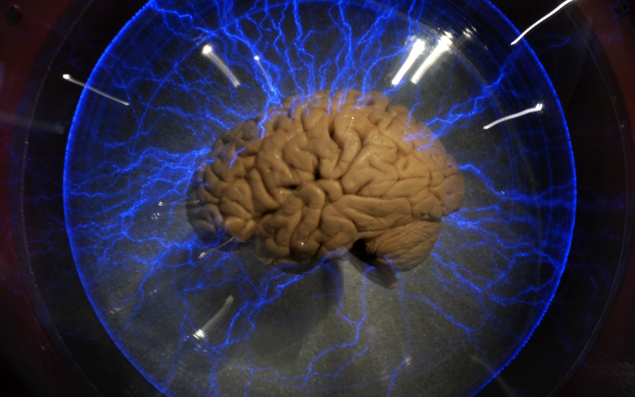 Creierul uman si biasurile cognitive