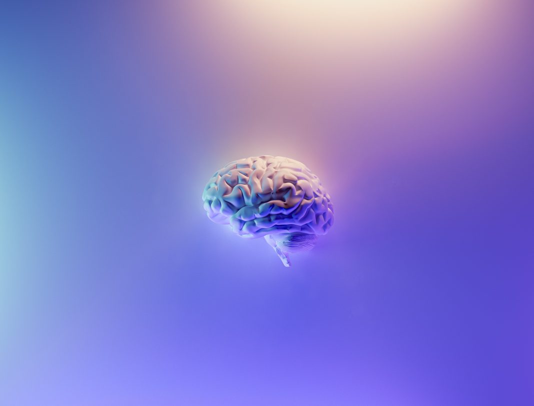 Nucleul accumbens, o structură cerebrală excepţională Nucleul accumbens, o structură cerebrală excepţională