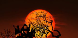 Poveştile horror – de ce îi fascinează pe oameni?