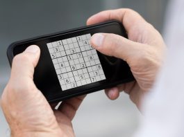 hobby sudoku