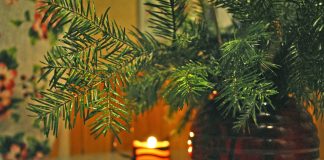 Energia vibraţională a locuinţei – cum poate fi sporită pentru a începe anul 2023 sub cele mai bune auspicii? Energia vibraţională a locuinţei