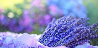 Astenia de primăvară – 5 metode imbatabile pentru redobândirea vitalităţii