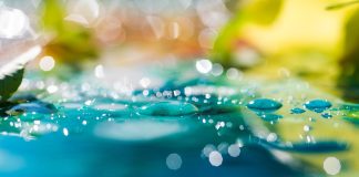 Wikenigma – fapte şi fenomene misterioase