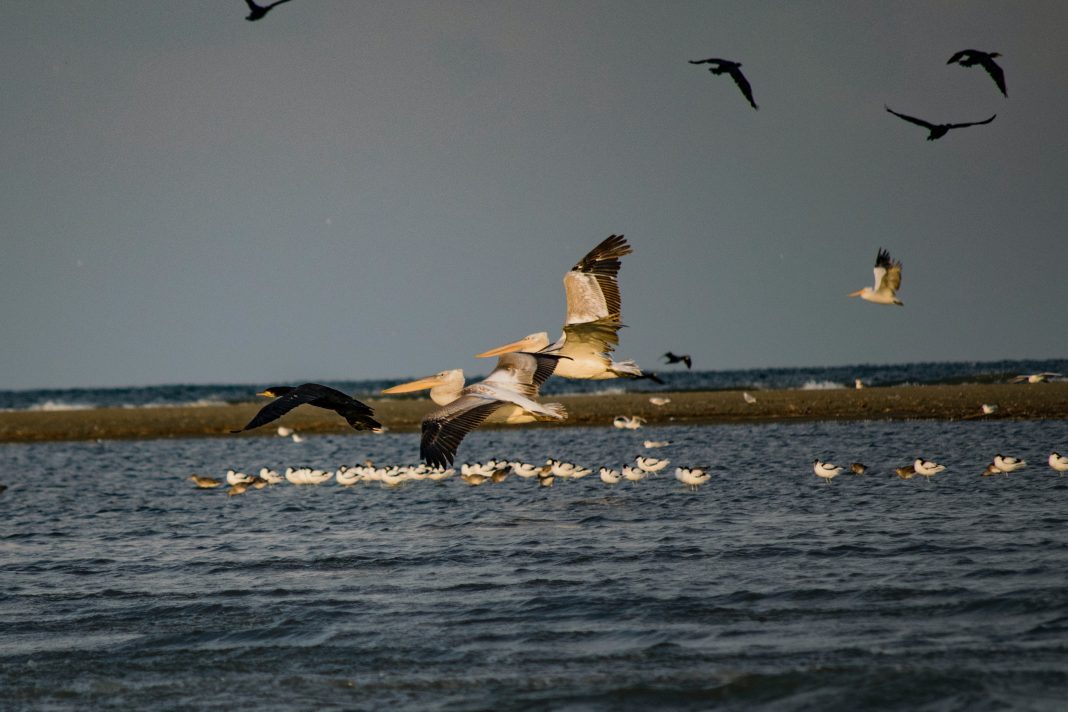 razvan-cristea-xkrnf2r8lca-unsplash