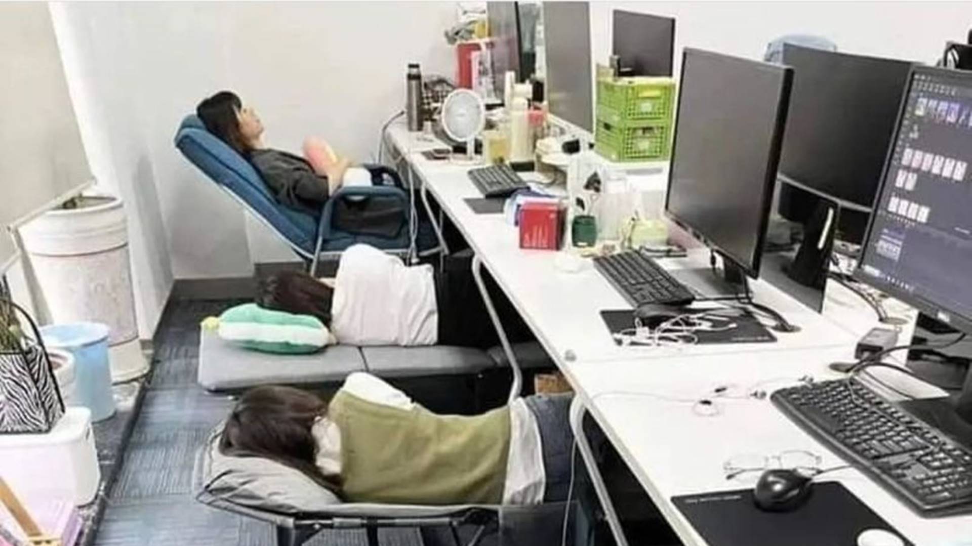 10 lucruri ciudate, somn la munca