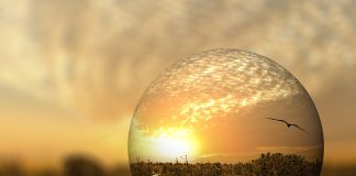 Predicţiile lui Michio Kaku