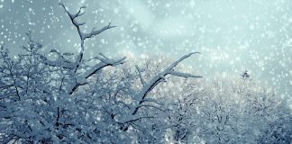 Zăpezile de altădată