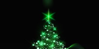 Cei mai spectaculoşi brazi de Crăciun din lume, în 2023, pentru a da strălucire sărbătorilor Cei mai spectaculoşi brazi de Crăciun din lume, in 2023