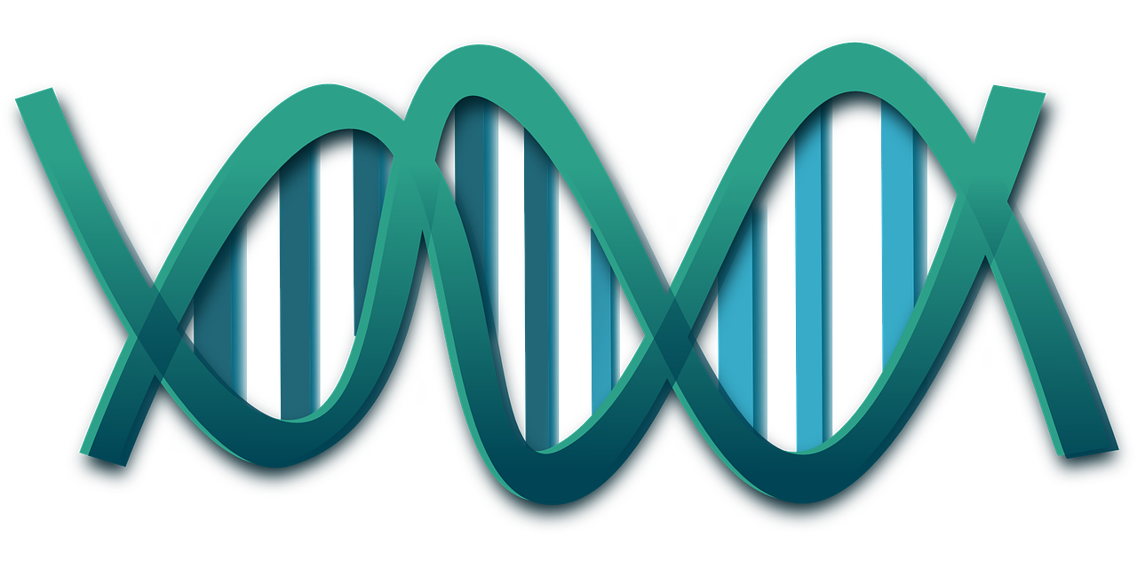 ADN