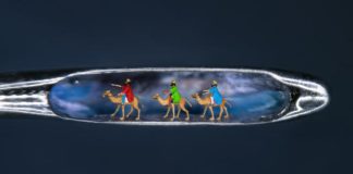 Sculptura miniaturală, Willard Wigan, Three Little Kings
