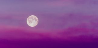 Luna Roz din aprilie