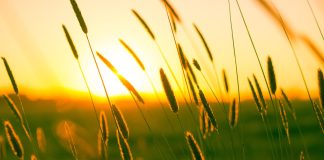 Solstiţiul de vară 2024