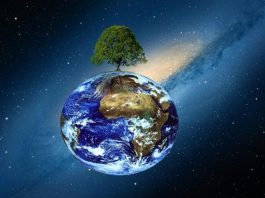 Fapte insolite despre lumea noastra