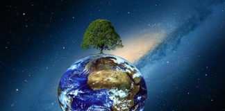 Fapte insolite despre lumea noastra