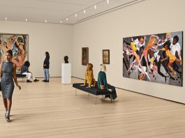 MoMA, New York, Cum să privim o operă de artă?