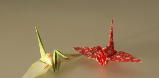 Origami – o artă veche de secole, un potenţial uriaş pentru ştiinţa şi tehnologia actuală Origami, Cocorul