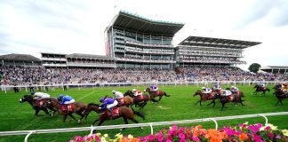 (P) Impactul cultural al pariurilor în diverse părți de pe glob