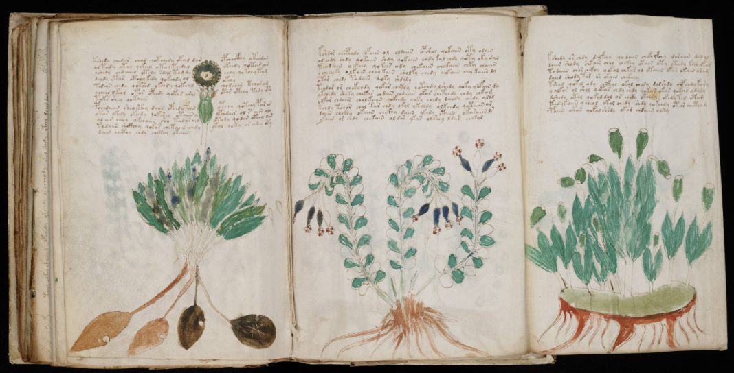 Manuscrisul Voynich