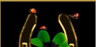 Fortis fortuna adiuvat – sensul şi originea expresiei. Omul, intre “soartă” şi “destin” Fortis fortuna adiuvat