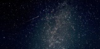 Leonidele şi Tauridele – lumini meteorice în noiembrie Ploaie de stele cazatoare