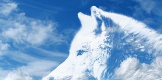 Sfântul Andrei, “Ocrotitorul României”, în spiritualitatea autohtonă – cele mai frumoase legende şi tradiţii Sfântul Andrei si Lupul alb