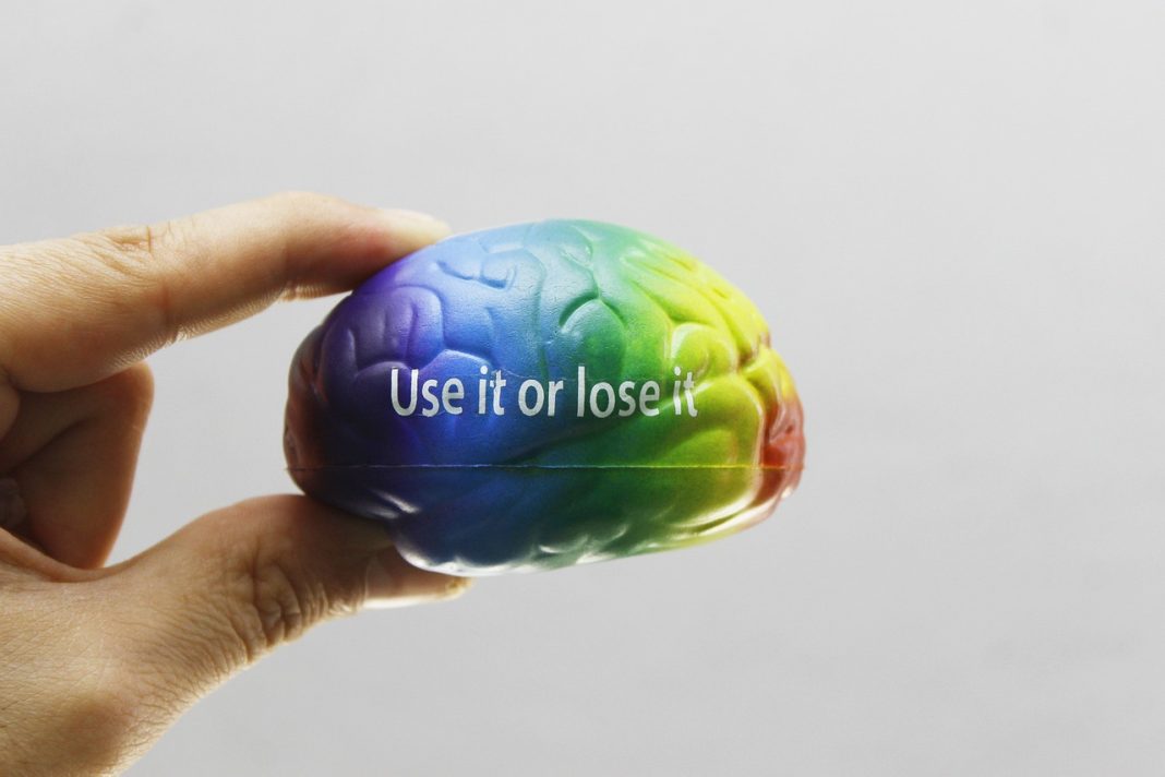 Cuvântul anului 2024, brain rot Cuvântul anului 2024, brain rot